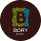 Bory Mall - Logo